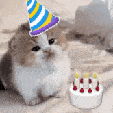a small kitten wearing a party hat is sitting next to a birthday cake with candles .