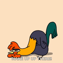 Cute Rooster Rooster GIF