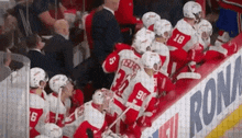Red Wings Excited GIF - Red Wings Excited Bench Reaction GIFs