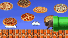 Super Mario Cat GIF - Cats Jump Hungry GIFs
