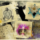 a collage of pictures with pixiz written in the corner