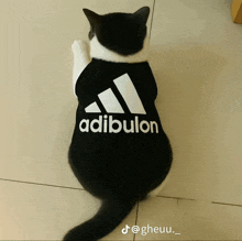 a black and white cat is wearing a shirt that says adibuluon