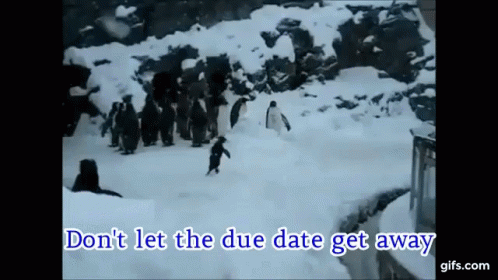 Due Date Get Away GIF - Due Date Get Away Due Date GIFs