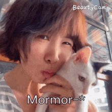 เม๊าะมอร์ Mormor GIF - เม๊าะมอร์ Mormor Kitten GIFs