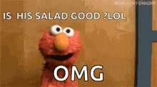 elmo from sesame street is asking if his salad is good lol omg .