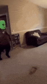 a person wearing a green mask is standing in a living room with a couch .