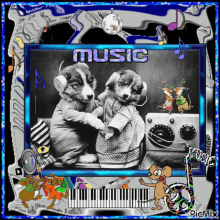 music dog