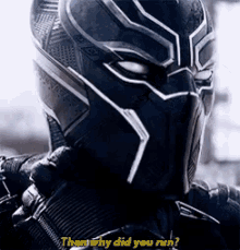 Black Panther Superhero GIF - Black Panther Superhero Why Did You Run GIFs