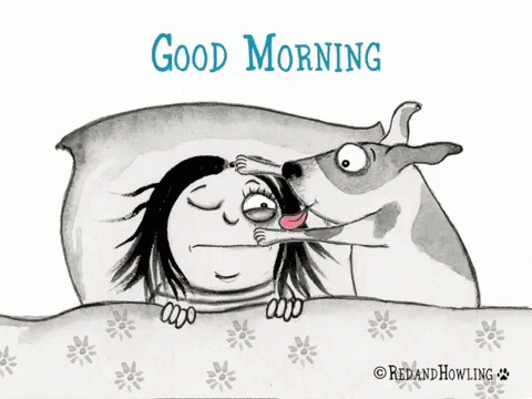 Good Morning Dog Kisses GIF - Good Morning Dog Kisses - Discover ...