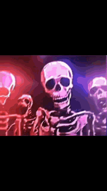 Skeleton Meme GIF