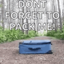 Pack Vacation GIF - Pack Vacation Travel GIFs
