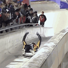Hyped Up Luge GIF