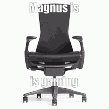 Magnus Gaming GIF - Magnus Gaming Afk GIFs