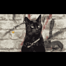 Cat Witch GIF - Cat Witch Socializing With Witch GIFs