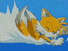 tails chapuzan dip sonicthehedgehog anime