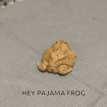 Mr Pajama Pajam GIF - Mr Pajama Pajam Frog GIFs