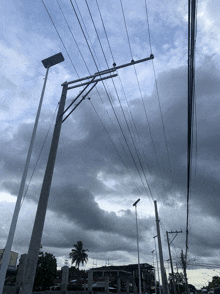 a cloudy sky with power lines and a palm tree in the foreground
