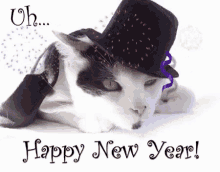 Happy New Year Cat Funny GIF - Happy New Year Cat Funny Happy New Year GIFs