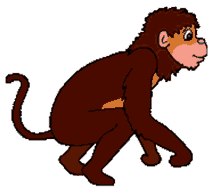 wabuu monkey