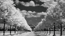 Way Clouds GIF - Way Clouds Trees GIFs