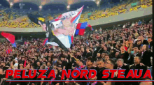 Steaua Steaua Bucuresti GIF