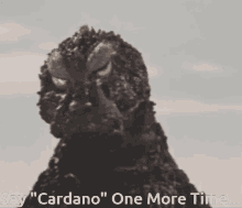Cardano Ethereum GIF - Cardano Ethereum Zilliqa GIFs