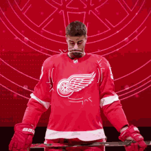 Red Wings Goal Detroit Red Wings Goal GIF - Red Wings Goal Detroit Red Wings Goal Joey Veleno GIFs