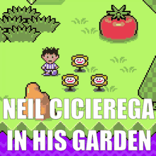 Neil Cicierega Flowers GIF - Neil Cicierega Flowers Garden GIFs