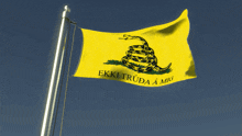 a yellow flag with a snake and the words " ekki truda a mig "