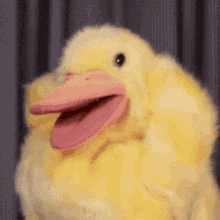Scratch Head Duck GIF - Scratch Head Duck GIFs