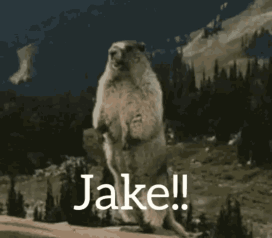 Yell Jake GIF - Yell Jake Gopher GIFs