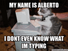 My Name Is Alberto I Dont Even Know What Im Typing GIF - My Name Is Alberto I Dont Even Know What Im Typing Busy GIFs
