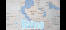 Taino When You Say Daca Taino GIF - Taino When You Say Daca Taino Italian Dictionary GIFs