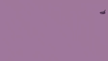 Purple Duck Crunchiebonez GIF