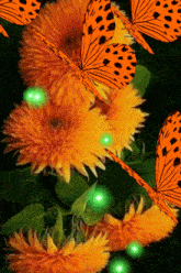 a bunch of orange butterflies are flying around some orange flowers