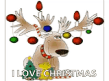 merry christmas seasons greetings reindeer i love christmas christmas