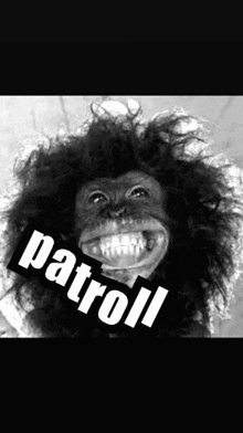 a black and white photo of a monkey with the words " patrol " on the bottom