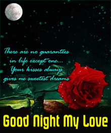 Love You Good Night My Love GIF - Love You Good Night My Love Sweet Dreams GIFs