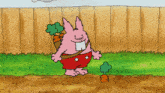 Planting Carrots GIF - Planting Carrots Dumb Bunnies GIFs