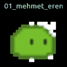 a pixel art of a green frog with the name mehmet eren