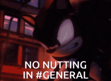 Shadow The Hedgehog No Nutting In General GIF - Shadow The Hedgehog No Nutting In General GIFs