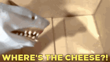 Shark Puppet Wheres The Cheese GIF - Shark Puppet Wheres The Cheese No Cheese GIFs