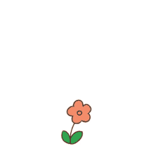 santosh flower