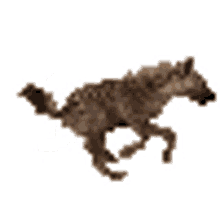 gifanimation hyena