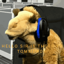 Yg Tomorrow GIF - Yg Tomorrow Camel GIFs