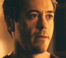 Robert Downey Jr Bleh GIF - Robert Downey Jr Bleh Tongue Out GIFs