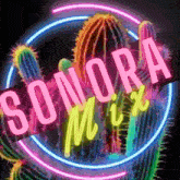 Sonoramix Sonoramix1 GIF - Sonoramix Sonoramix1 Sonoramix2 GIFs