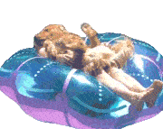 Relaxing The Pet Collective Sticker - Relaxing The Pet Collective Pool Floaty Stickers