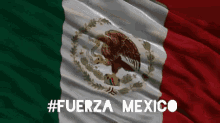 mexico flag fuerza