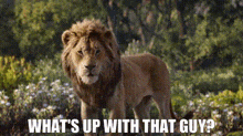 The Lion King Simba GIF - The Lion King Simba Whats Up With That Guy GIFs